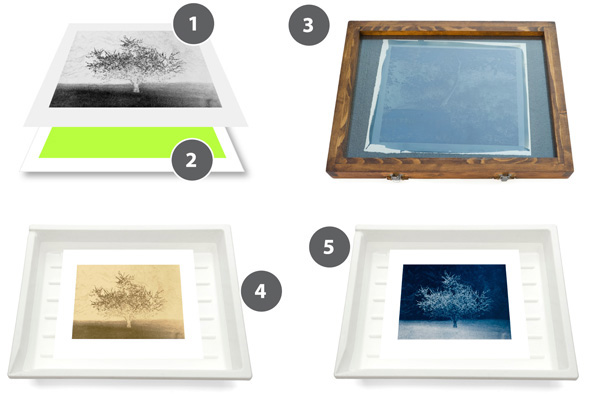 Easy Digital Negatives