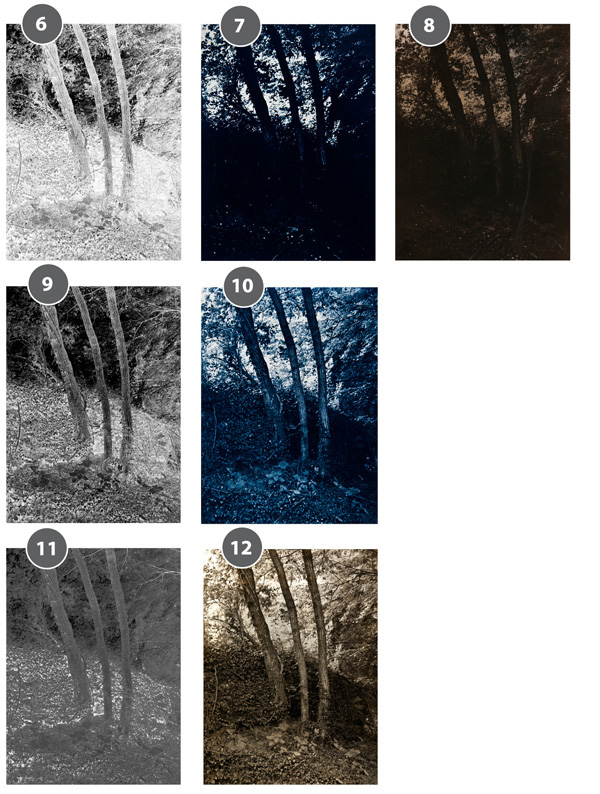 Easy Digital Negatives