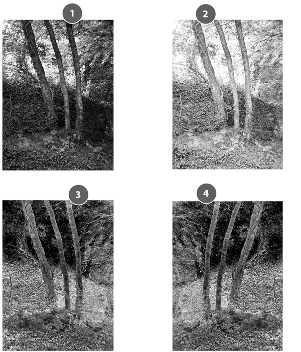 Easy Digital Negatives