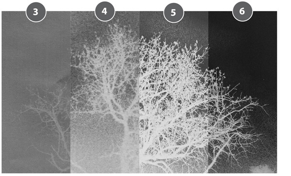 Easy Digital Negatives(Historical and Alternative Photography) – Peter