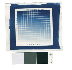 Easy Digital Negatives