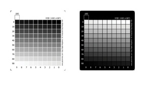 Easy Digital Negatives