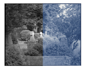 Easy Digital Negatives